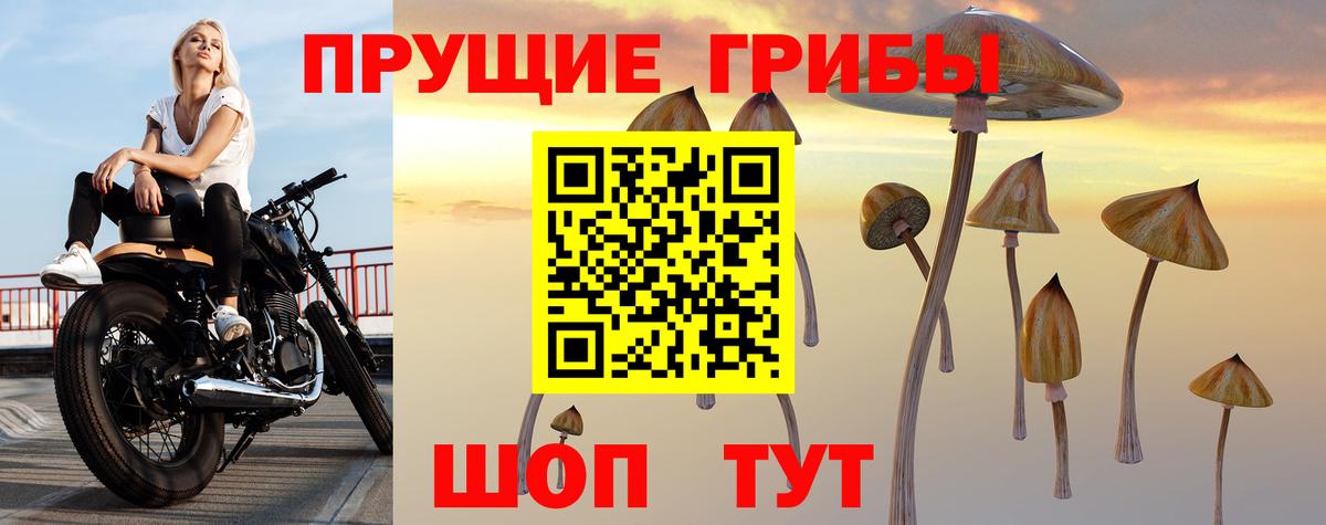 Псилоцибиновые грибы GOLDEN TEACHER Выкса